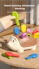 Montessori bebê ouriço brinquedos concentração treinamento educação brinquedos motor fino sensorial brinquedo educativo para crianças presentes de aniversário