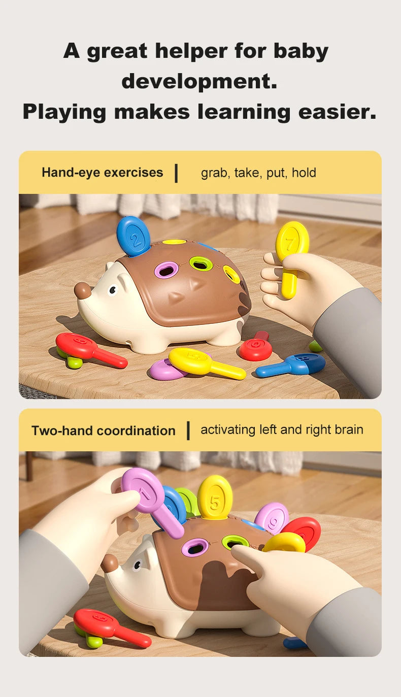 Montessori bebê ouriço brinquedos concentração treinamento educação brinquedos motor fino sensorial brinquedo educativo para crianças presentes de aniversário